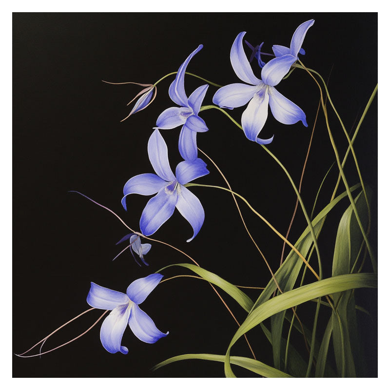 BLUEBELL FLOWERS