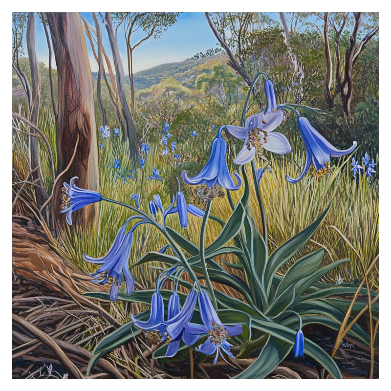 BLUEBELL FLOWERS BUSH