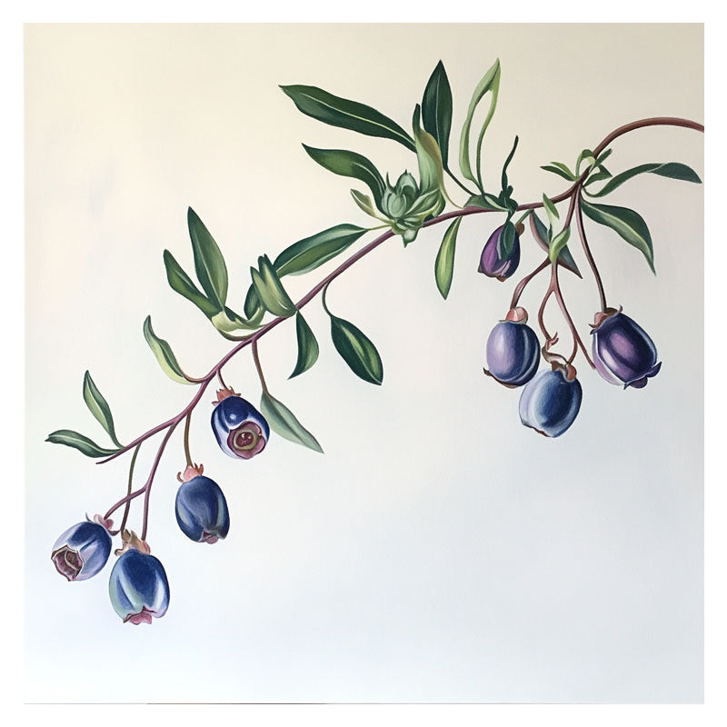 BLUEBERRY BRANCH