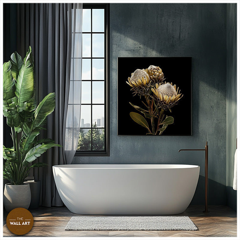 BROWN KING PROOTEA FLOWERS