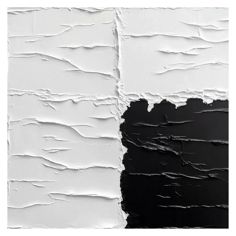 BLACK AND WHITE IV