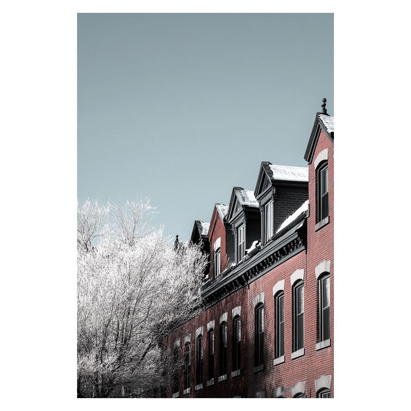 BLOOMMING RED HOUSES II