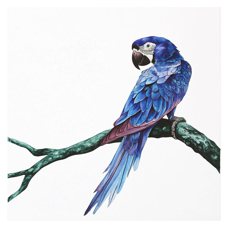 BLUE PARROT ON BRANCH