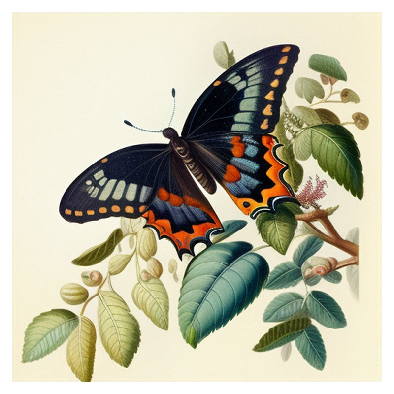 BUTTER FLY ON LEAVES II