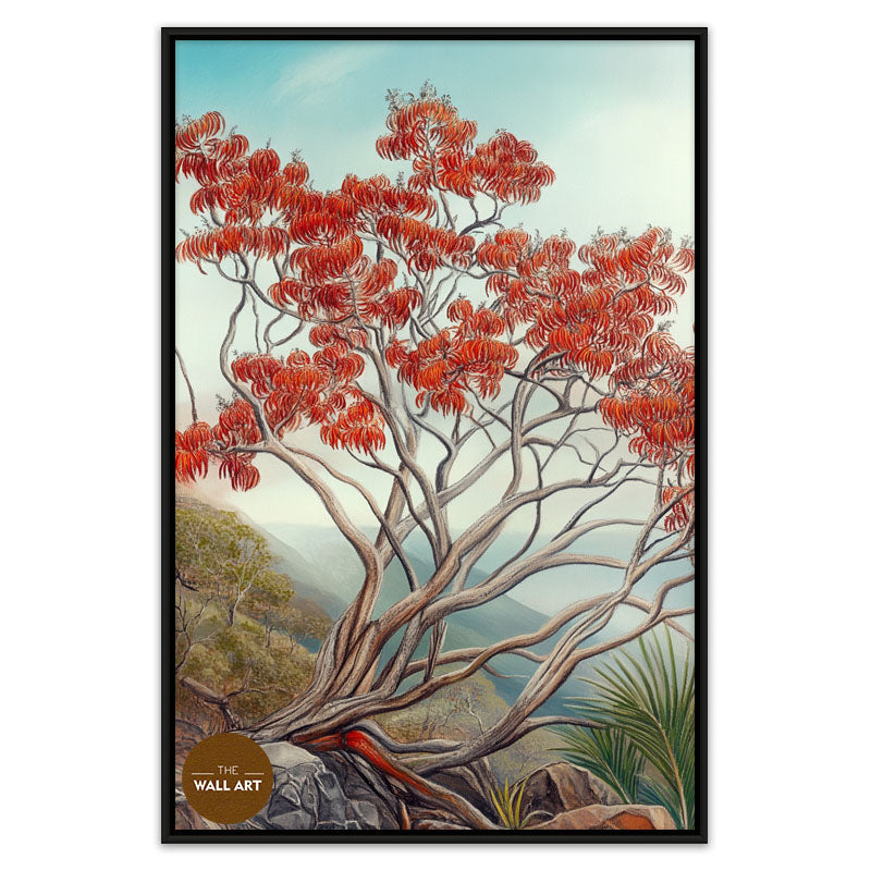 AUSTRALIA FLAME TREE