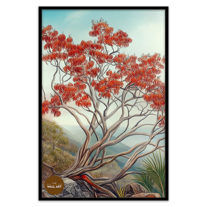 AUSTRALIA FLAME TREE