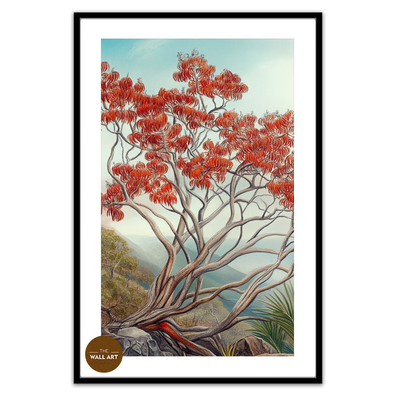 AUSTRALIA FLAME TREE