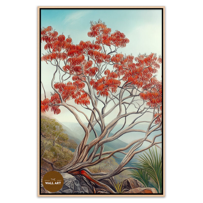 AUSTRALIA FLAME TREE