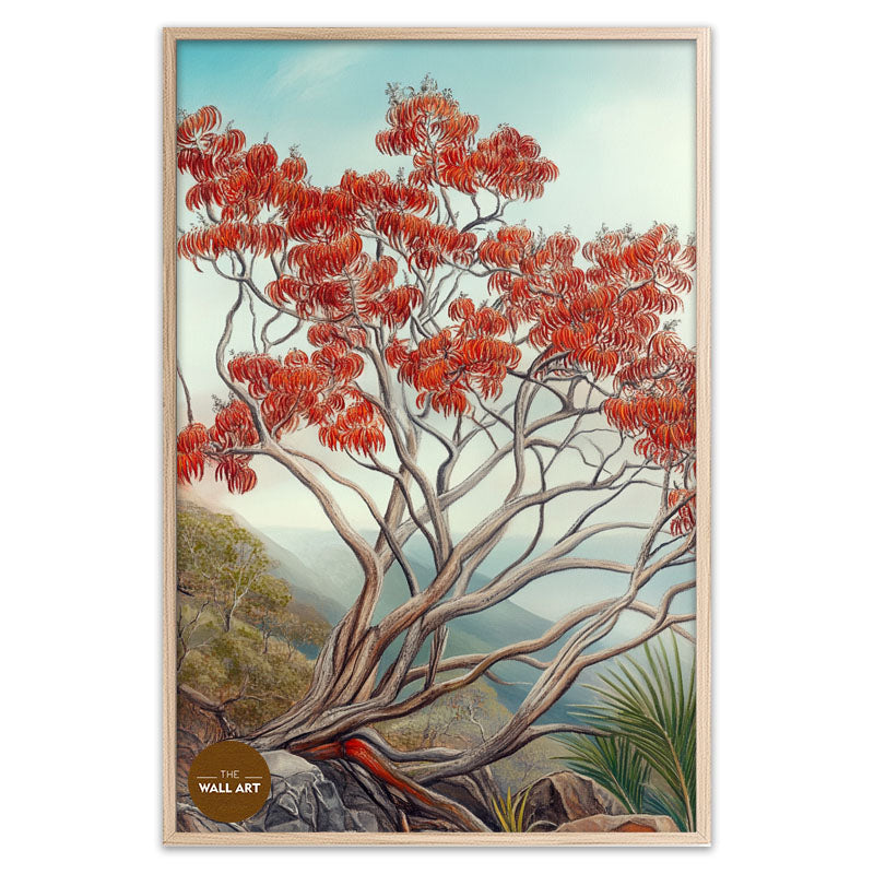 AUSTRALIA FLAME TREE