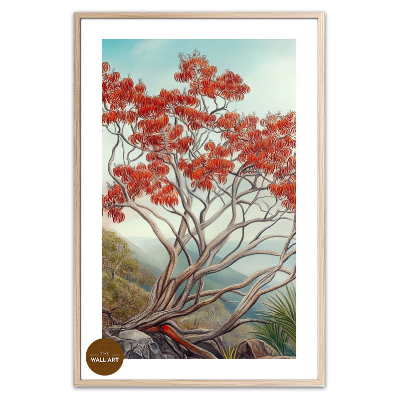 AUSTRALIA FLAME TREE