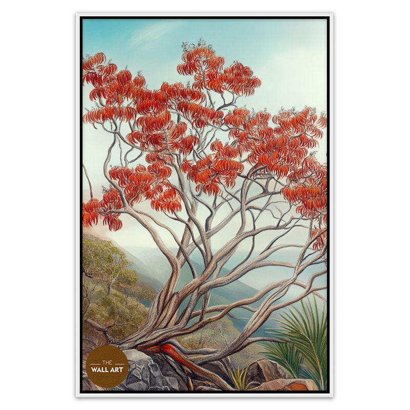 AUSTRALIA FLAME TREE