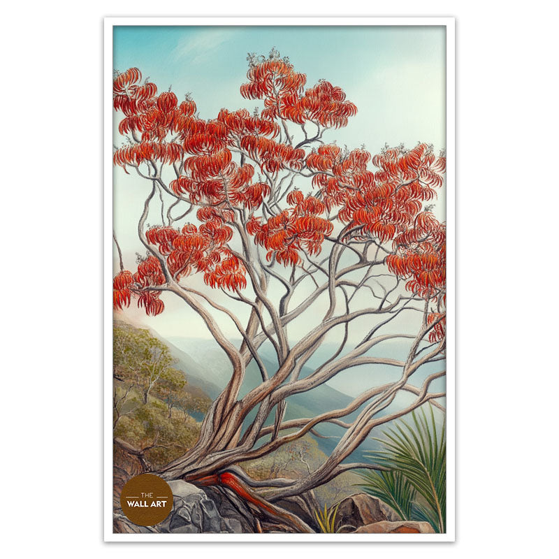 AUSTRALIA FLAME TREE