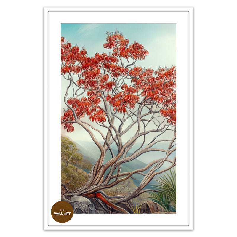 AUSTRALIA FLAME TREE