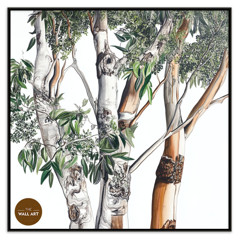 AUSTRALIAN EUCALYPTUS
