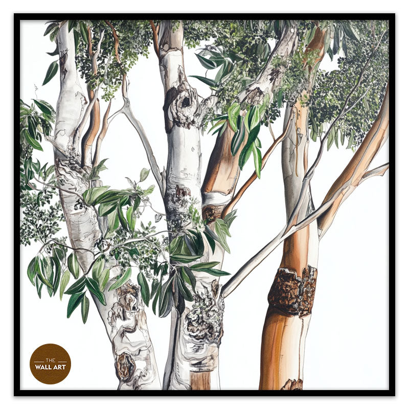 AUSTRALIAN EUCALYPTUS