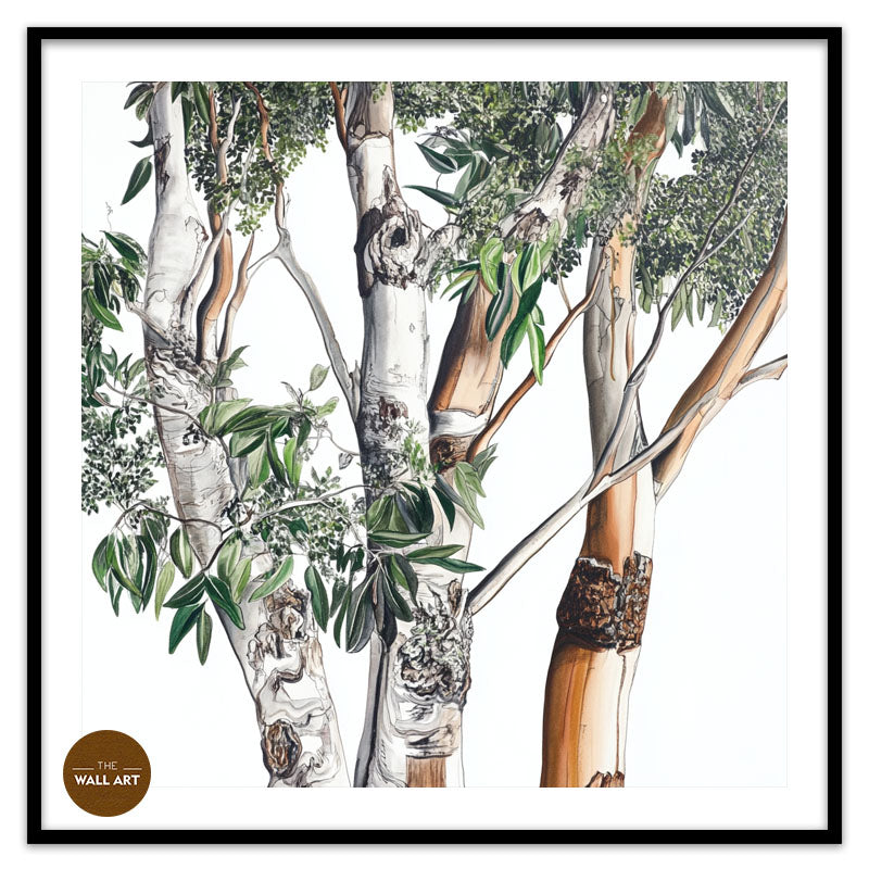 AUSTRALIAN EUCALYPTUS
