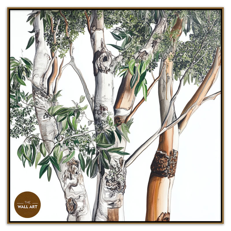 AUSTRALIAN EUCALYPTUS
