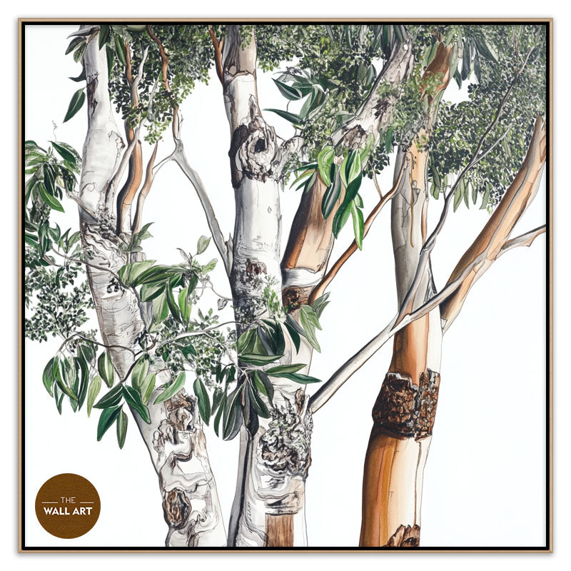 AUSTRALIAN EUCALYPTUS