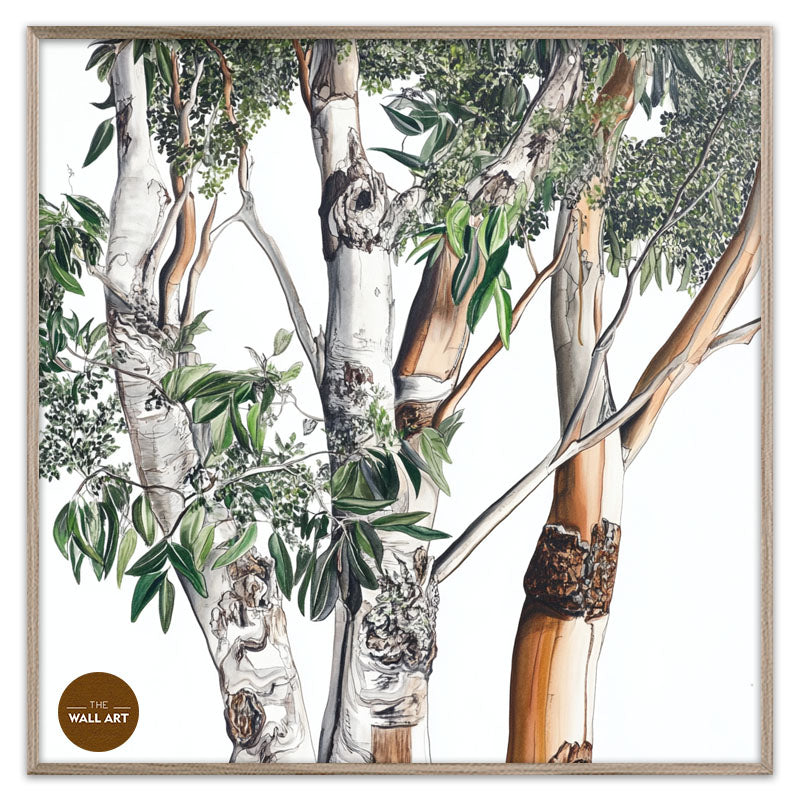 AUSTRALIAN EUCALYPTUS