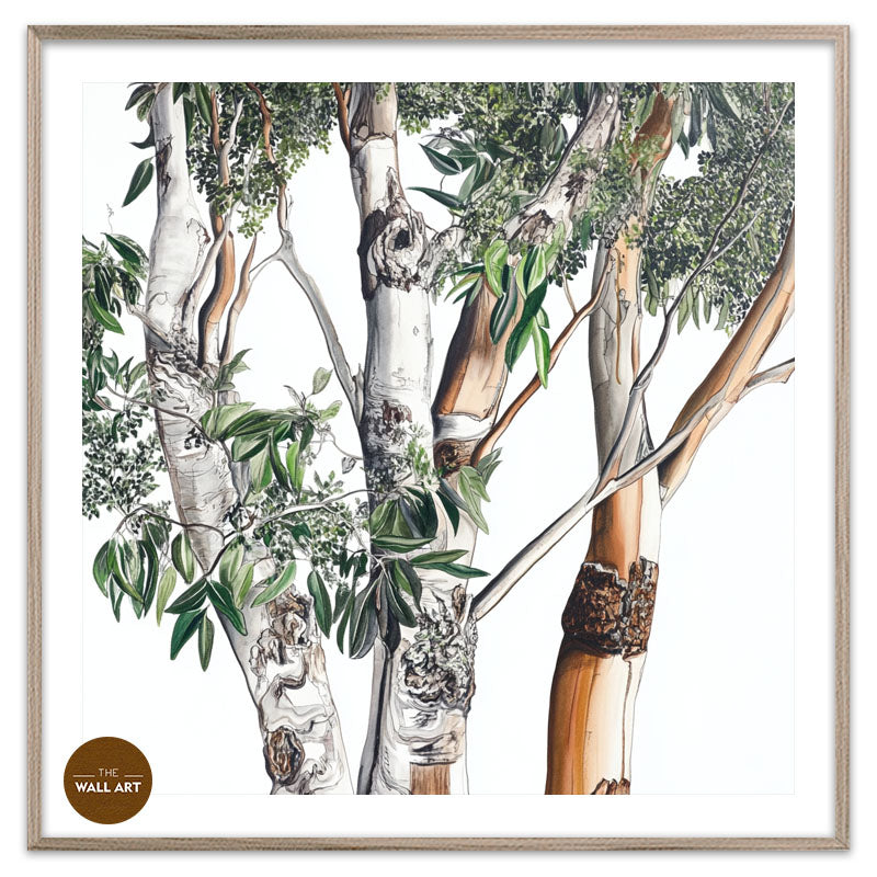 AUSTRALIAN EUCALYPTUS