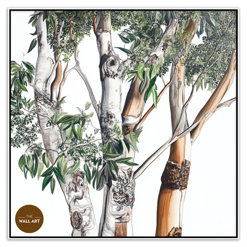 AUSTRALIAN EUCALYPTUS