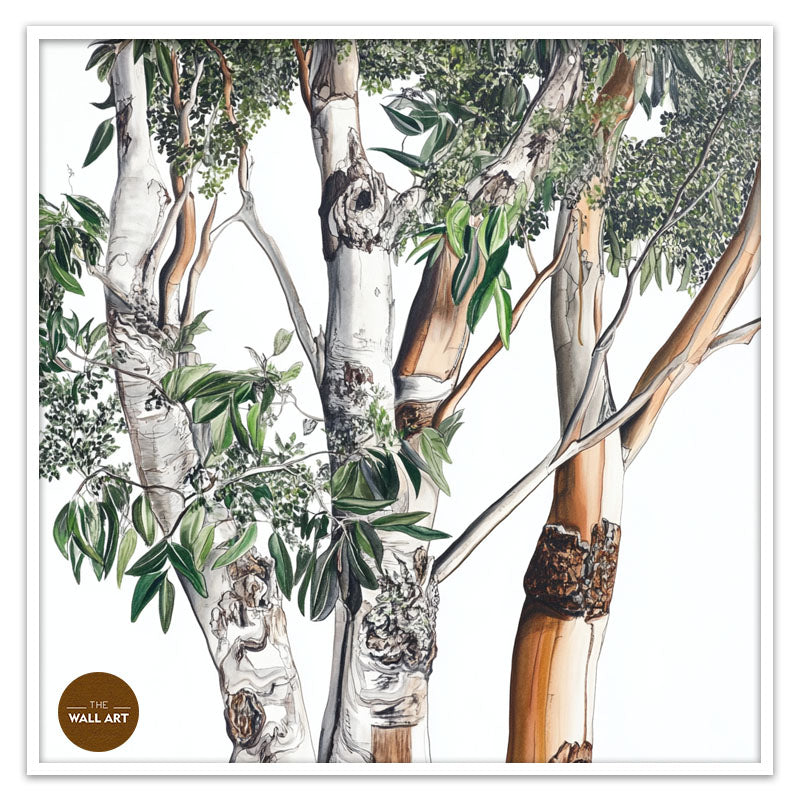 AUSTRALIAN EUCALYPTUS