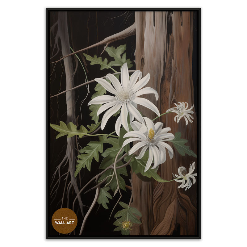 AUSTRALIAN FLANNEL FLOWER