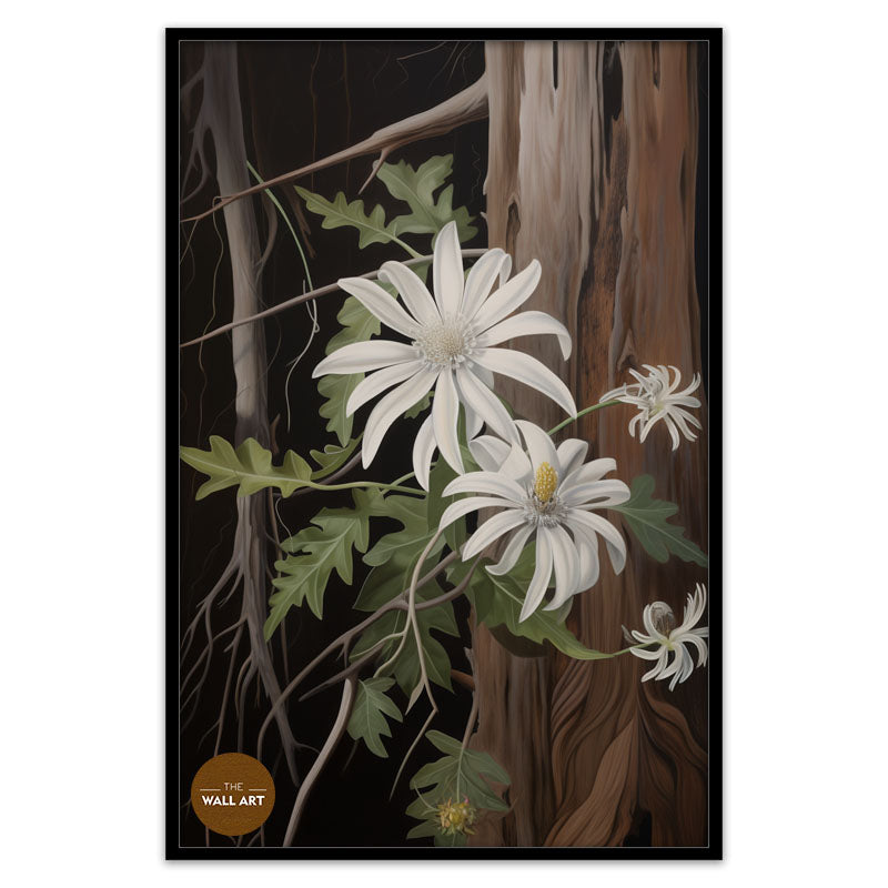 AUSTRALIAN FLANNEL FLOWER