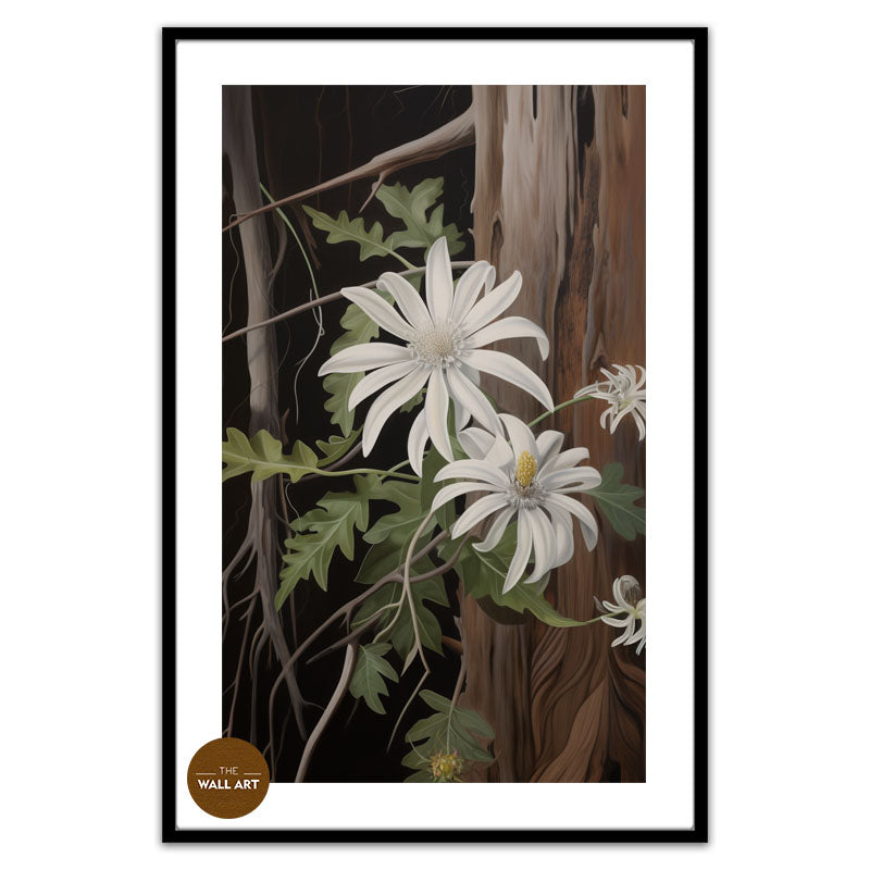 AUSTRALIAN FLANNEL FLOWER