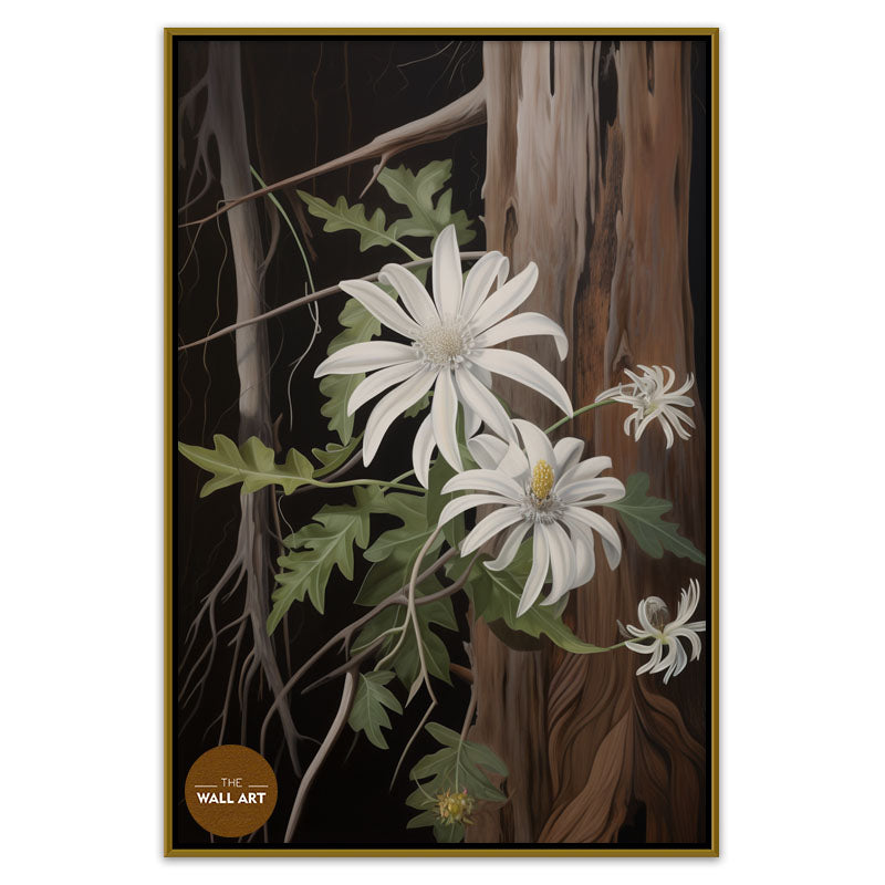 AUSTRALIAN FLANNEL FLOWER