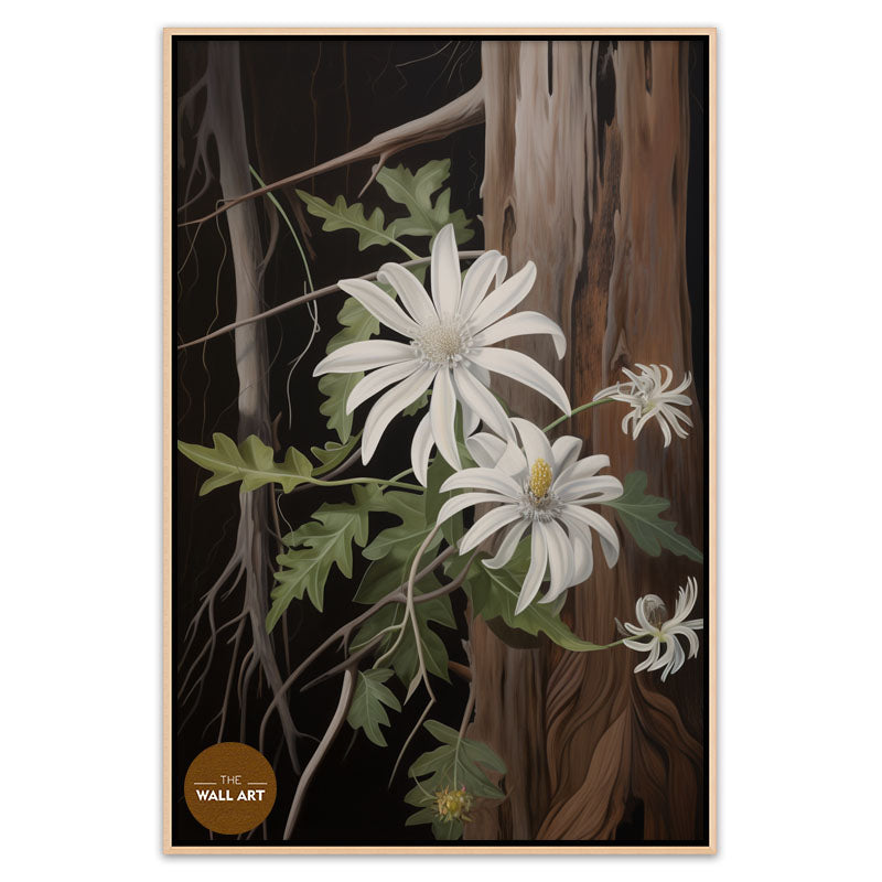 AUSTRALIAN FLANNEL FLOWER