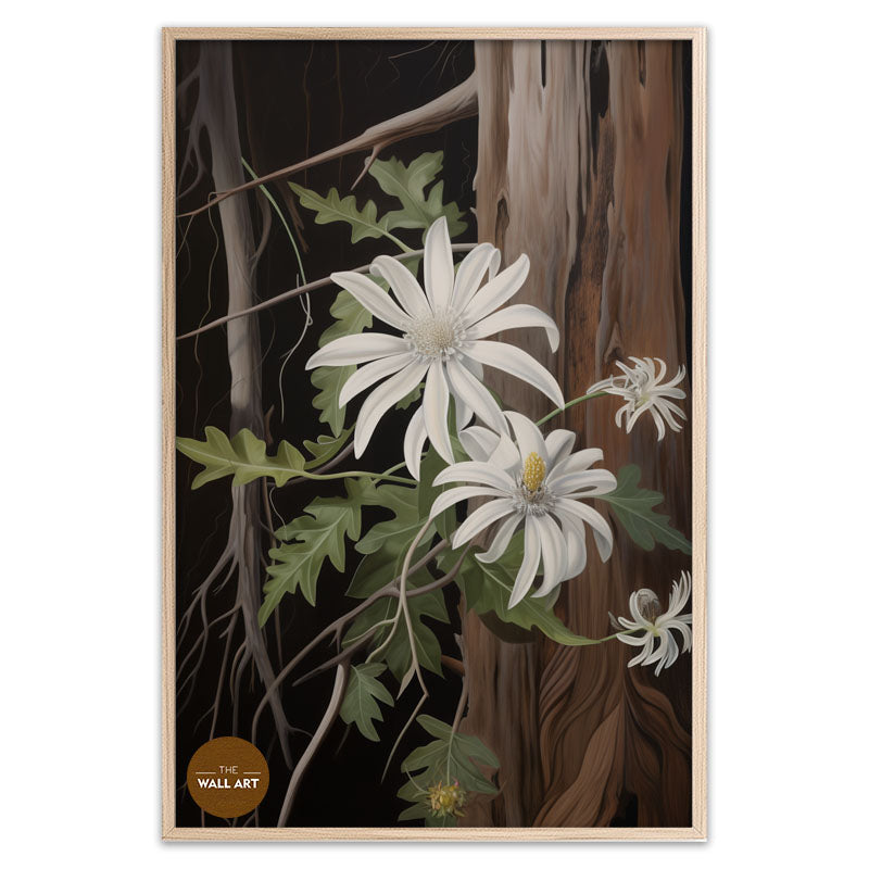 AUSTRALIAN FLANNEL FLOWER