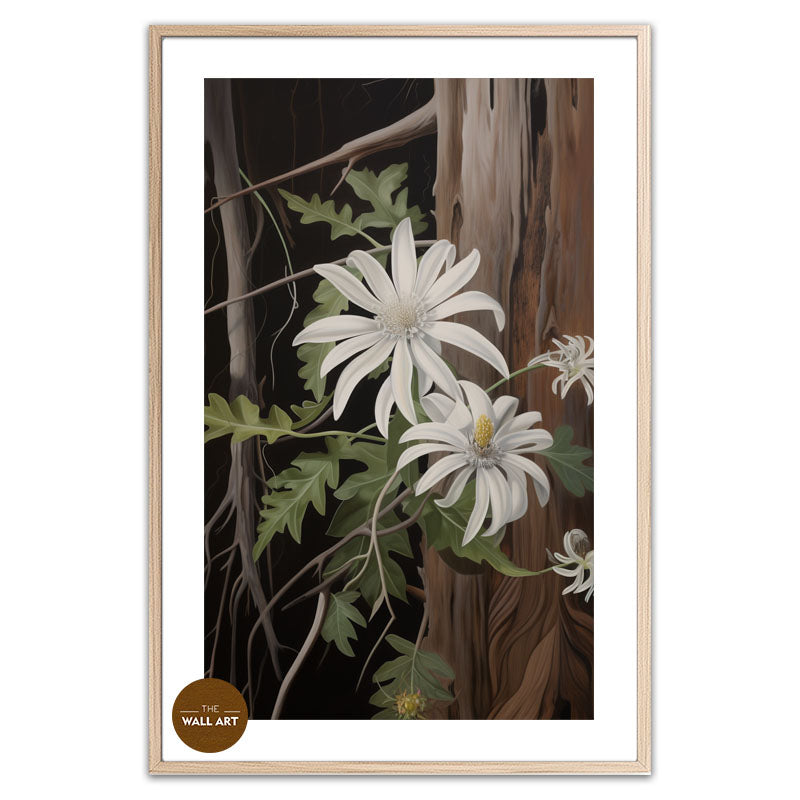 AUSTRALIAN FLANNEL FLOWER