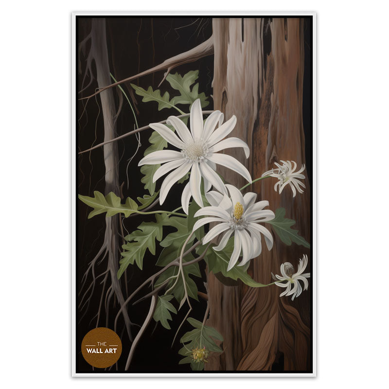 AUSTRALIAN FLANNEL FLOWER