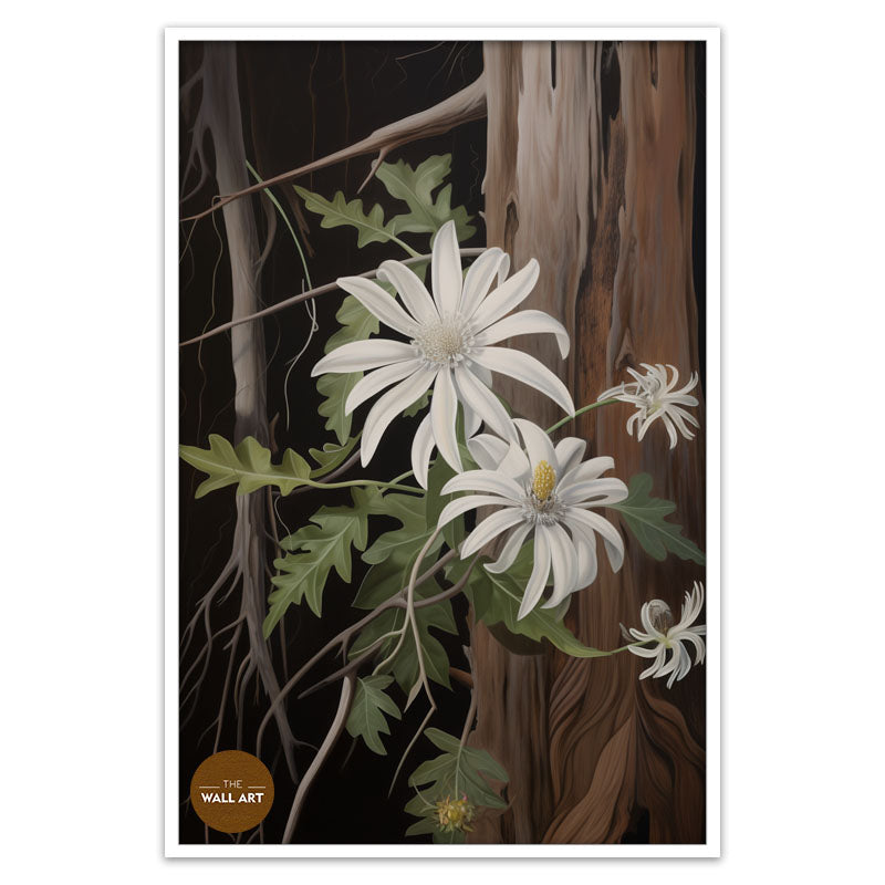 AUSTRALIAN FLANNEL FLOWER