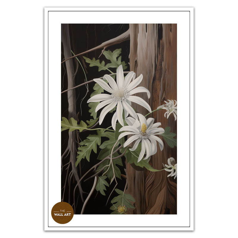AUSTRALIAN FLANNEL FLOWER