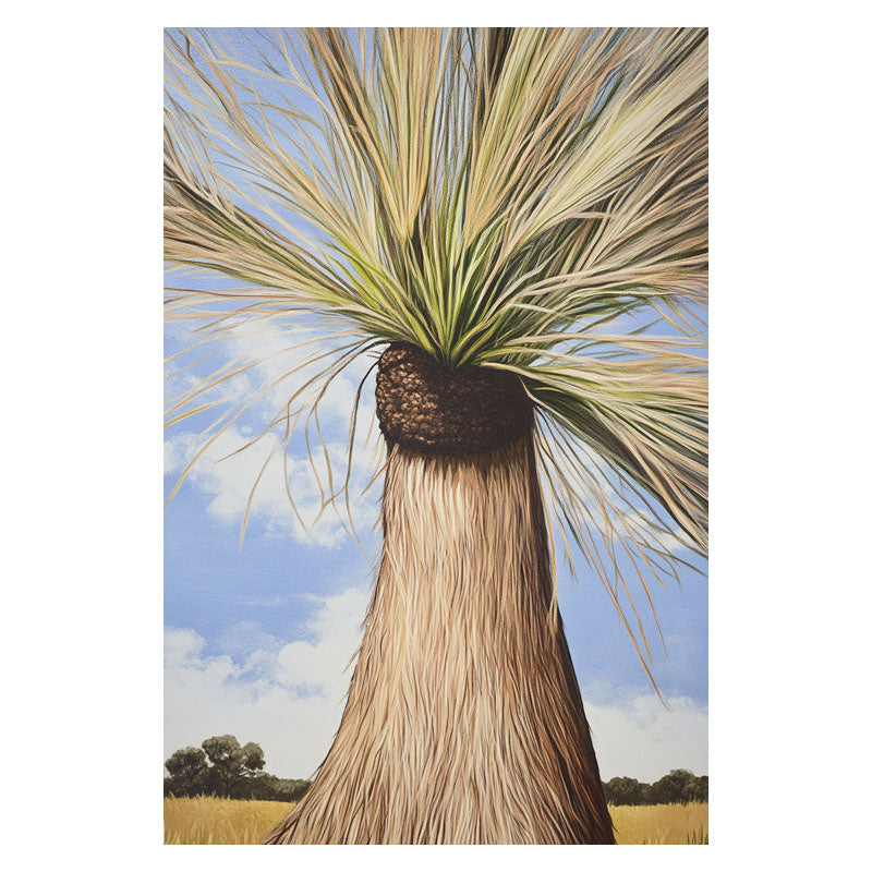 AUSTRALIAN GRASS TREE