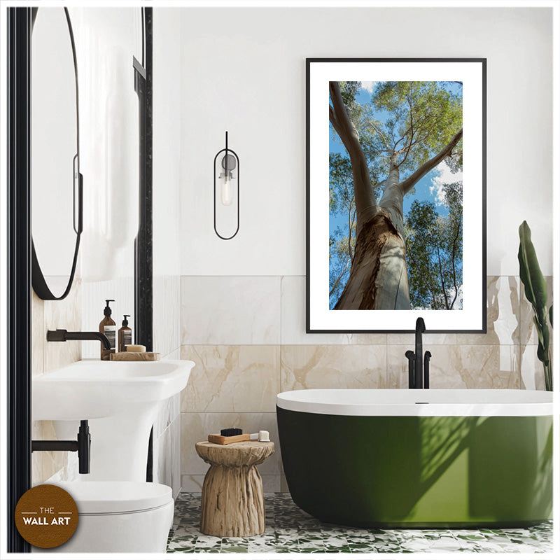 AUSTRALIAN RED GUM