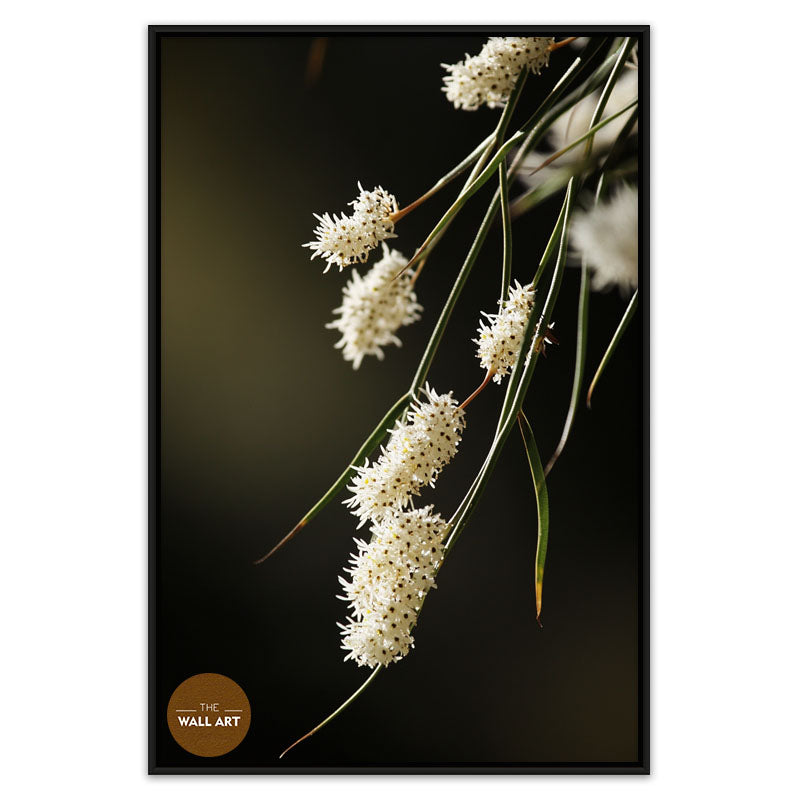 AUSTRALIAN RICE FLOWERS