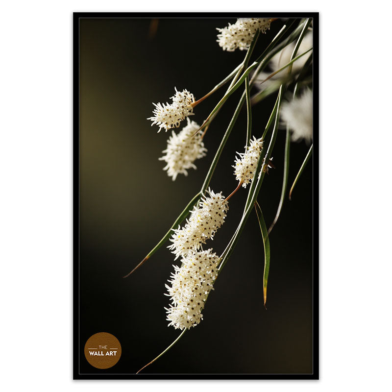 AUSTRALIAN RICE FLOWERS