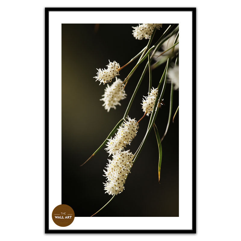 AUSTRALIAN RICE FLOWERS