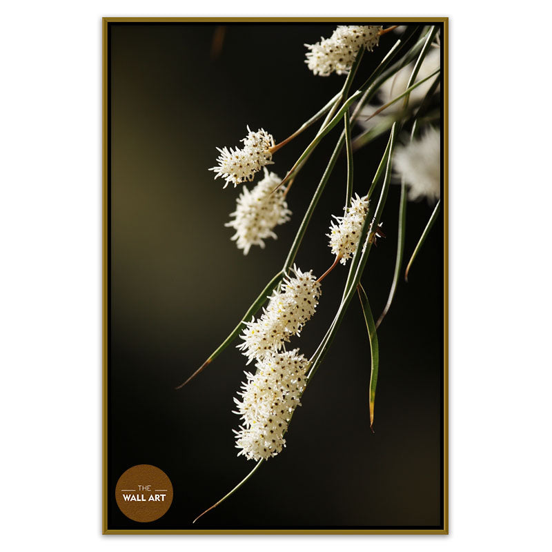 AUSTRALIAN RICE FLOWERS