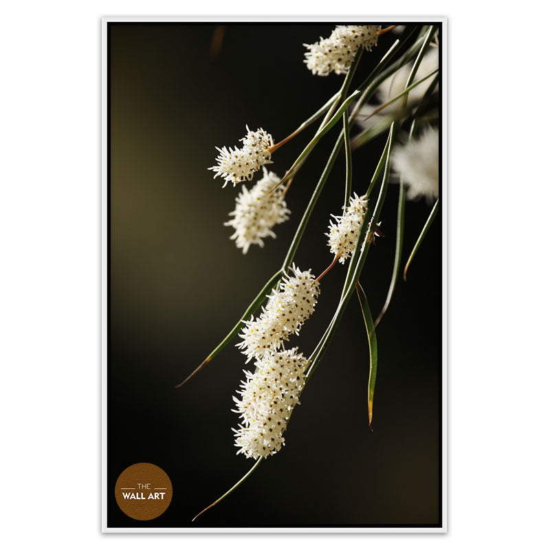 AUSTRALIAN RICE FLOWERS