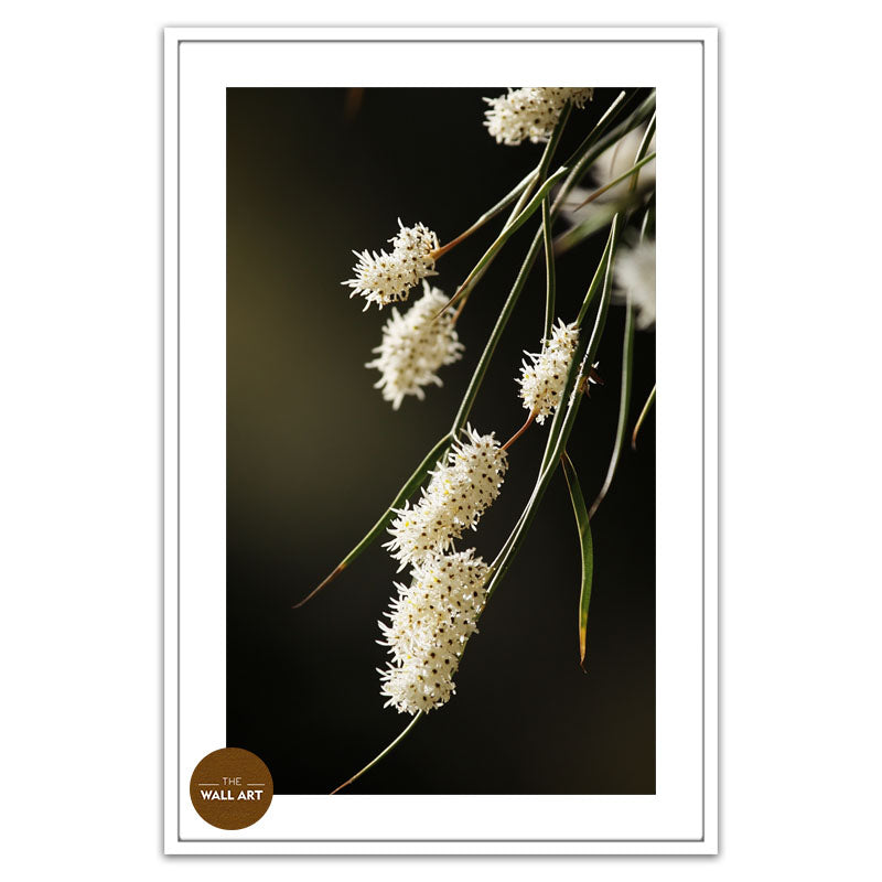 AUSTRALIAN RICE FLOWERS