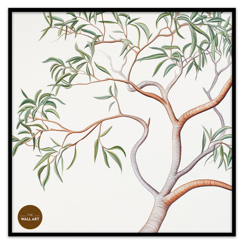 AUSTRALIAN SANDALWOOD BRANCH