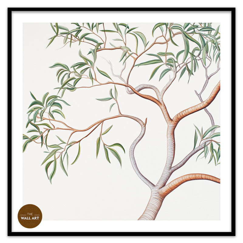 AUSTRALIAN SANDALWOOD BRANCH