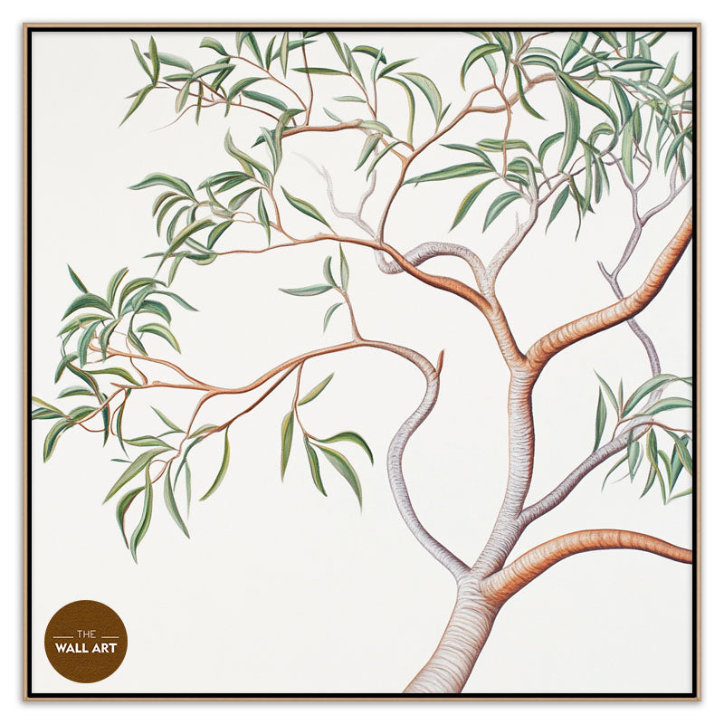 AUSTRALIAN SANDALWOOD BRANCH