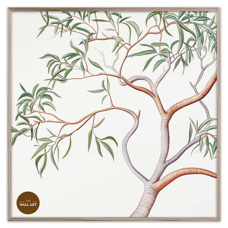 AUSTRALIAN SANDALWOOD BRANCH