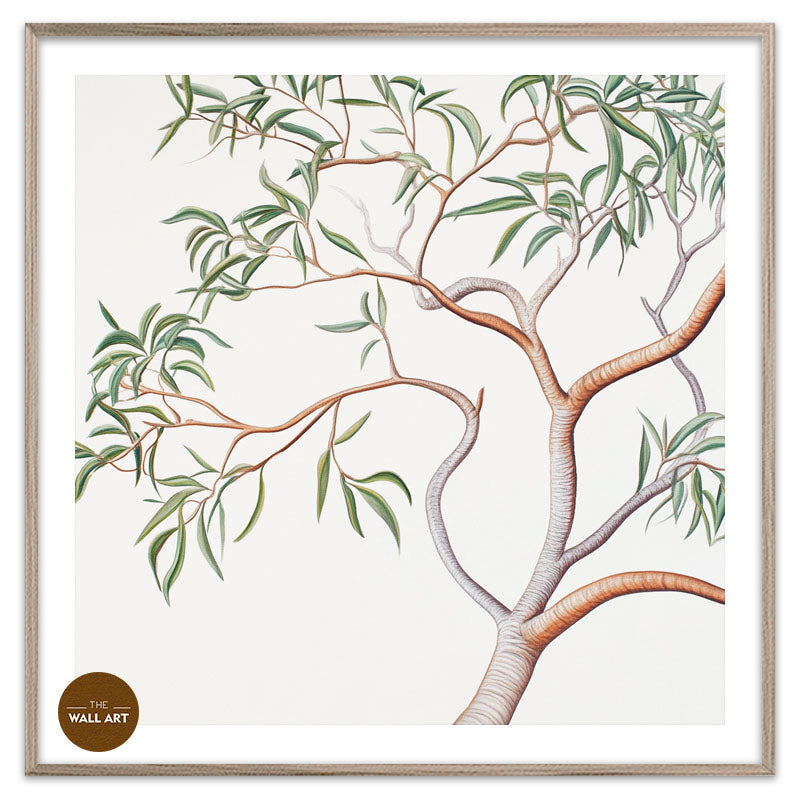 AUSTRALIAN SANDALWOOD BRANCH