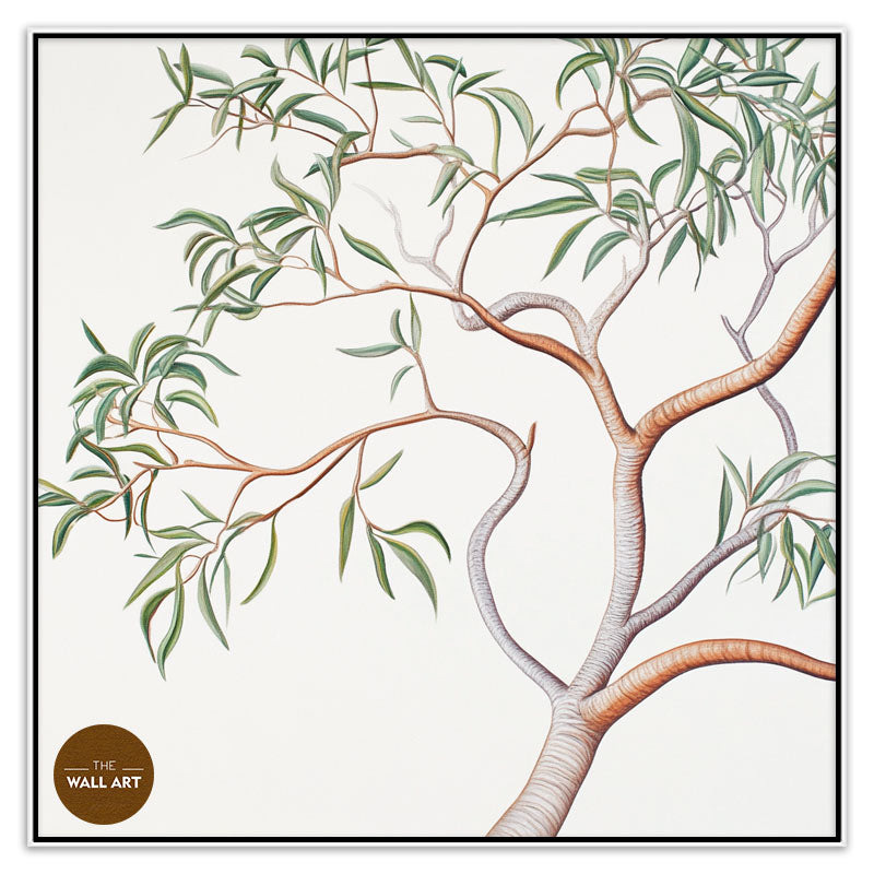 AUSTRALIAN SANDALWOOD BRANCH